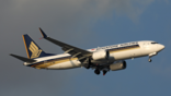 Singapore Airlines 737-8