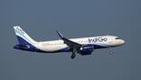 indigo a320neo