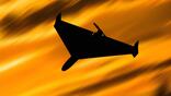shahed drone silhouette