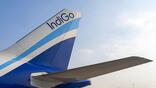 indigo jet tail fin