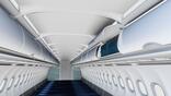passenger overhead bins