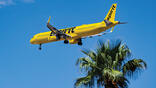 Spirit Airlines Airbus jet flying over palm tree