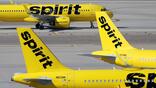 multiple Spirit Airlines aircraft