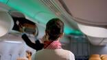 Flight attendant looking at overhead luggage bins