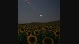 Credit: Bill Ingalls/NASA Caption: A composite image showing the progression of a total solar eclipse over San Millan de los Caballeros, Spain on Aug. 12.